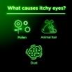 Itchy eyes may be caused by pollen, animal hair, and dust